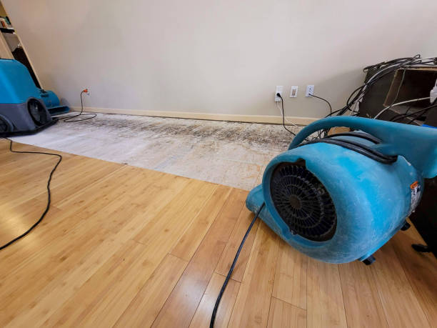 Professional Basement Flood Cleanup technician working in Saint Matthews, SC